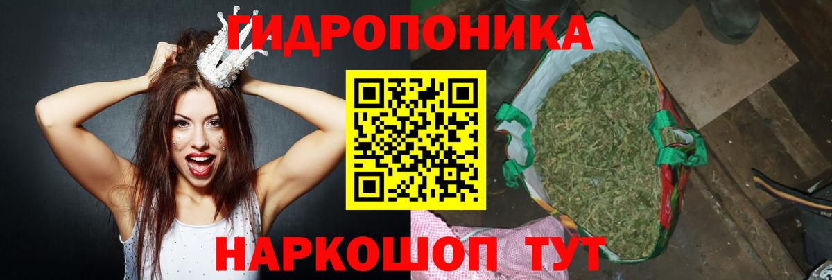 Каннабис Ganja Павлово